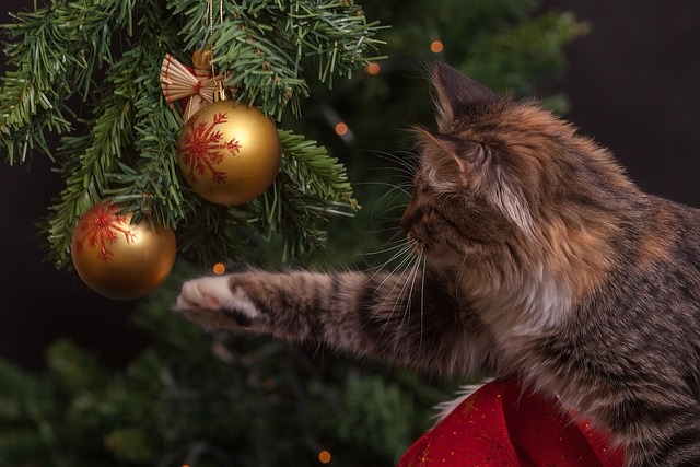 Sådan vedligeholder du dit kunstige juletræ og får det til at se ægte ud