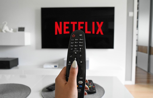 Hvor meget skal du egentlig betale for netflix? Prøv vores pris beregner